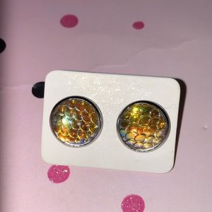 Stainless steel studs